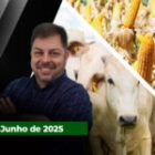 Arroba do boi tem dia estável em SP e com poucas praças ajustando cotações ; milho sobe com apoio do trigo e do petróleo