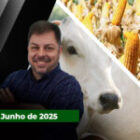Cadeia produtiva discute evolução do setor e produção de carne de qualidade está entre as prioridades; milho sobe com ajuda do trigo em Chicago
