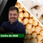 Cotações do boi gordo se ajustam para o início do mês sem tendência definida ; Soja em alta nesta sexta-feira não recupera queda semanal