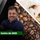 Cotações do boi gordo dão sinais de fragilidade com arroba recuando em praças importantes de MG, GO e MT ; café perde quase 1500 pontos em NY