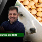 Sexta-feira de alta para arroba com boi China em SP retomando os R$320; Soja sobe quase 30 pontos com ajuda do óleo e do petróleo