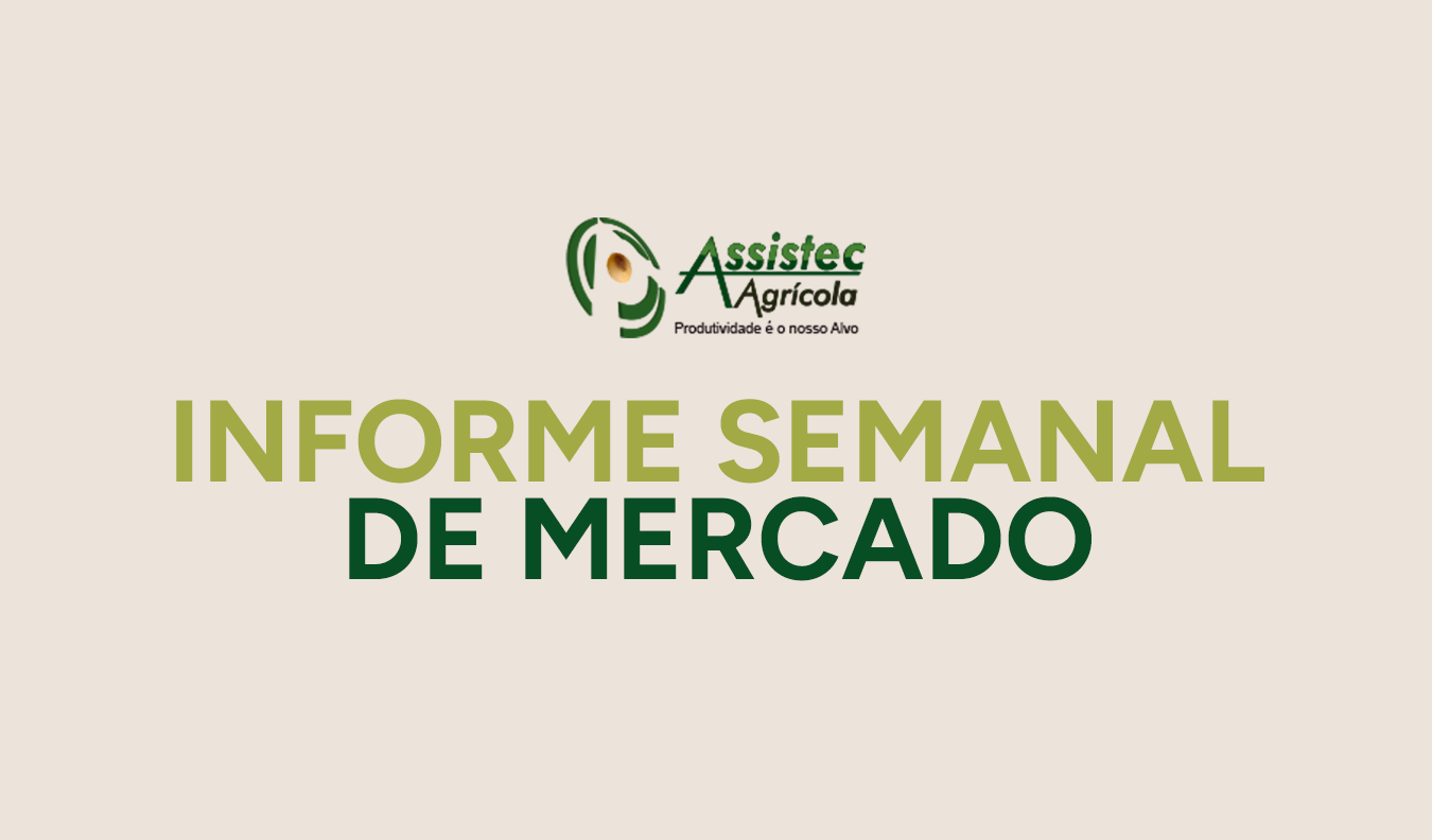 Informe Semanal do Agro: clima irregular, avanço do plantio e tendências de mercado impactam decisões no campo