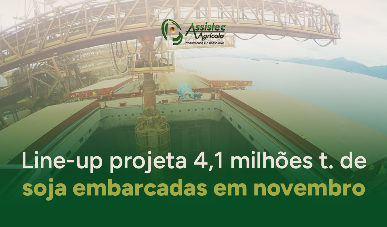 Line-up projeta 4,1 milhões t de soja embarcadas em novembro; ritmo menor que 2024 e foco em prêmio/logística