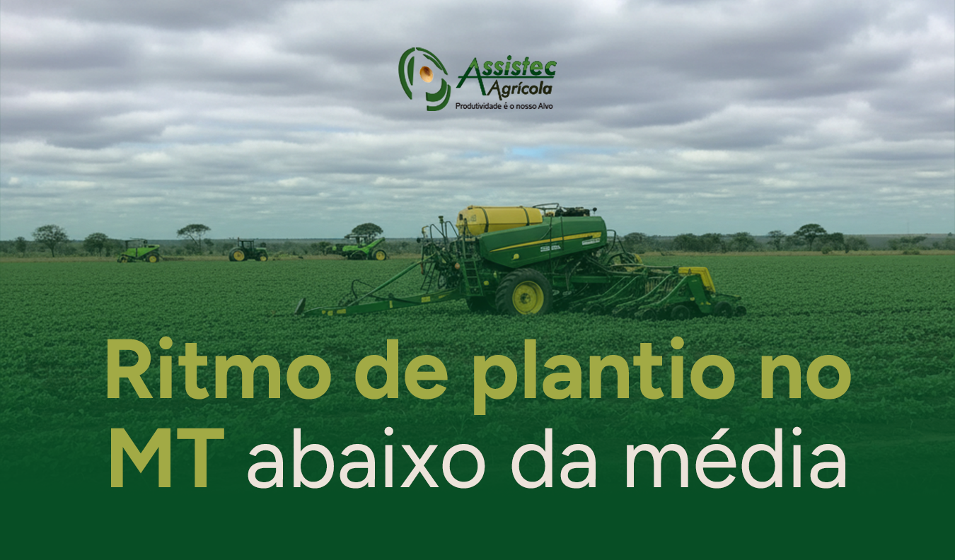 Ritmo de plantio da soja em Mato Grosso passa a ficar abaixo da média, segundo IMEA