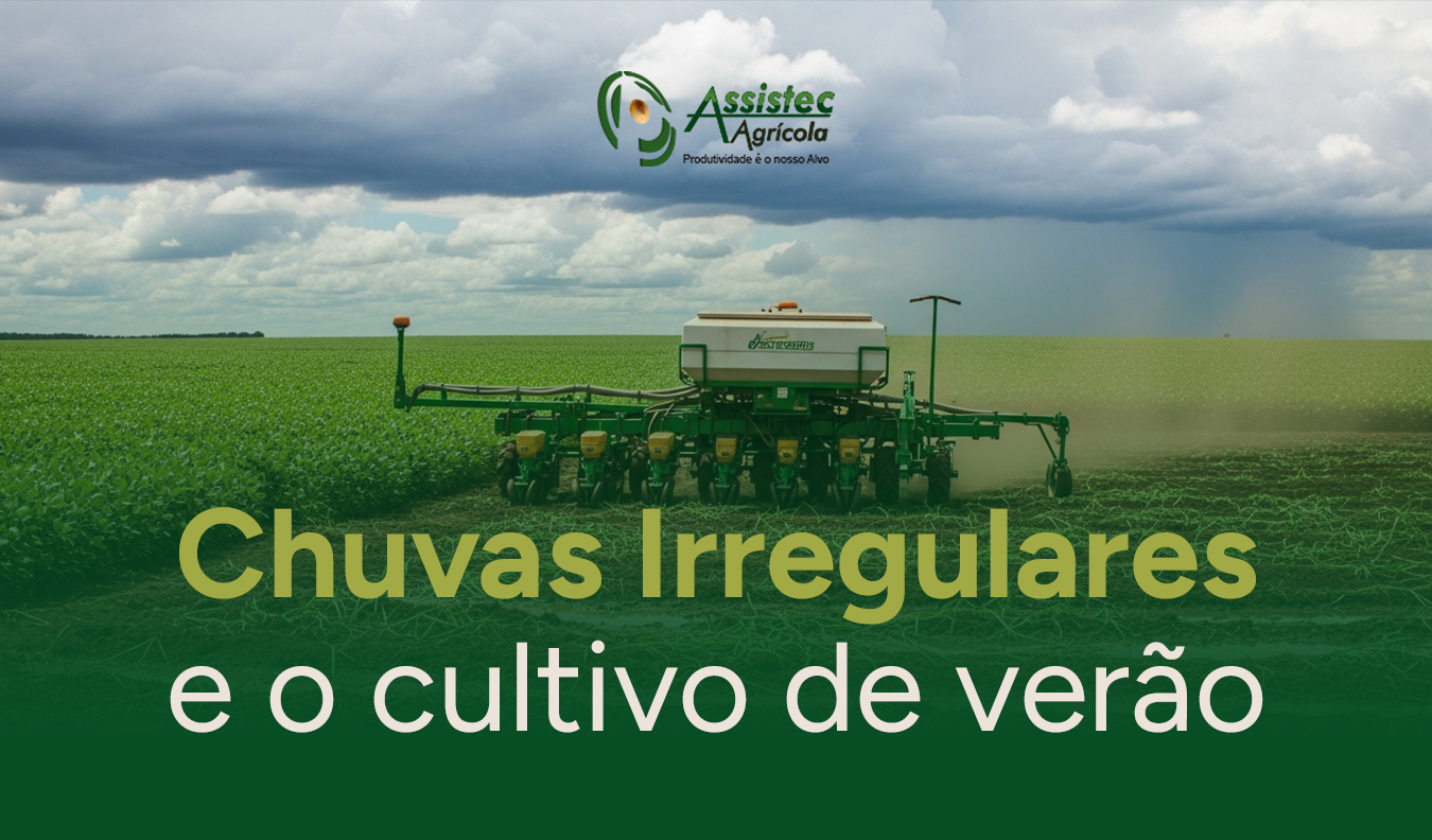 Volumes de chuvas irregulares impactam o ritmo da semeadura dos cultivos de verão