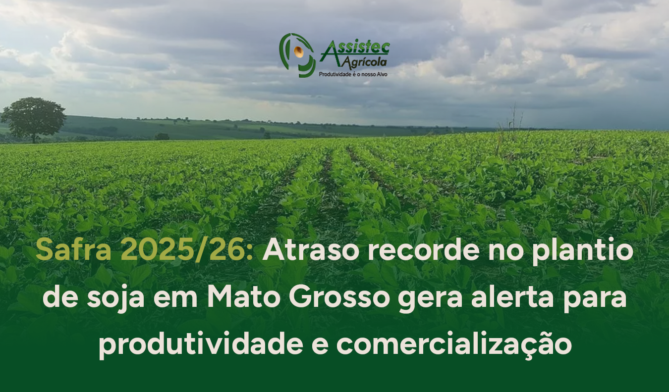 Safra 2025/26: Atraso recorde no plantio de soja em Mato Grosso gera alerta para produtividade e comercialização