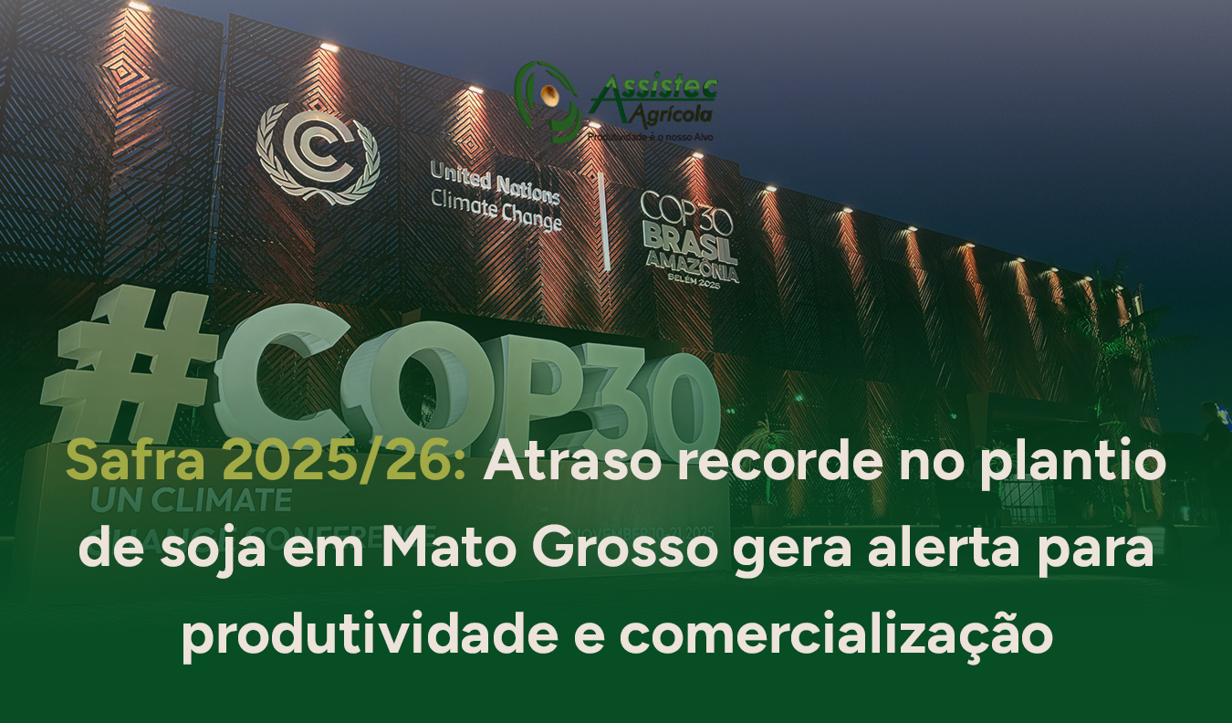 COP30: Agro brasileiro ganha voz na agenda climática, mas ainda enfrenta frustrações em financiamento e agricultura tropical