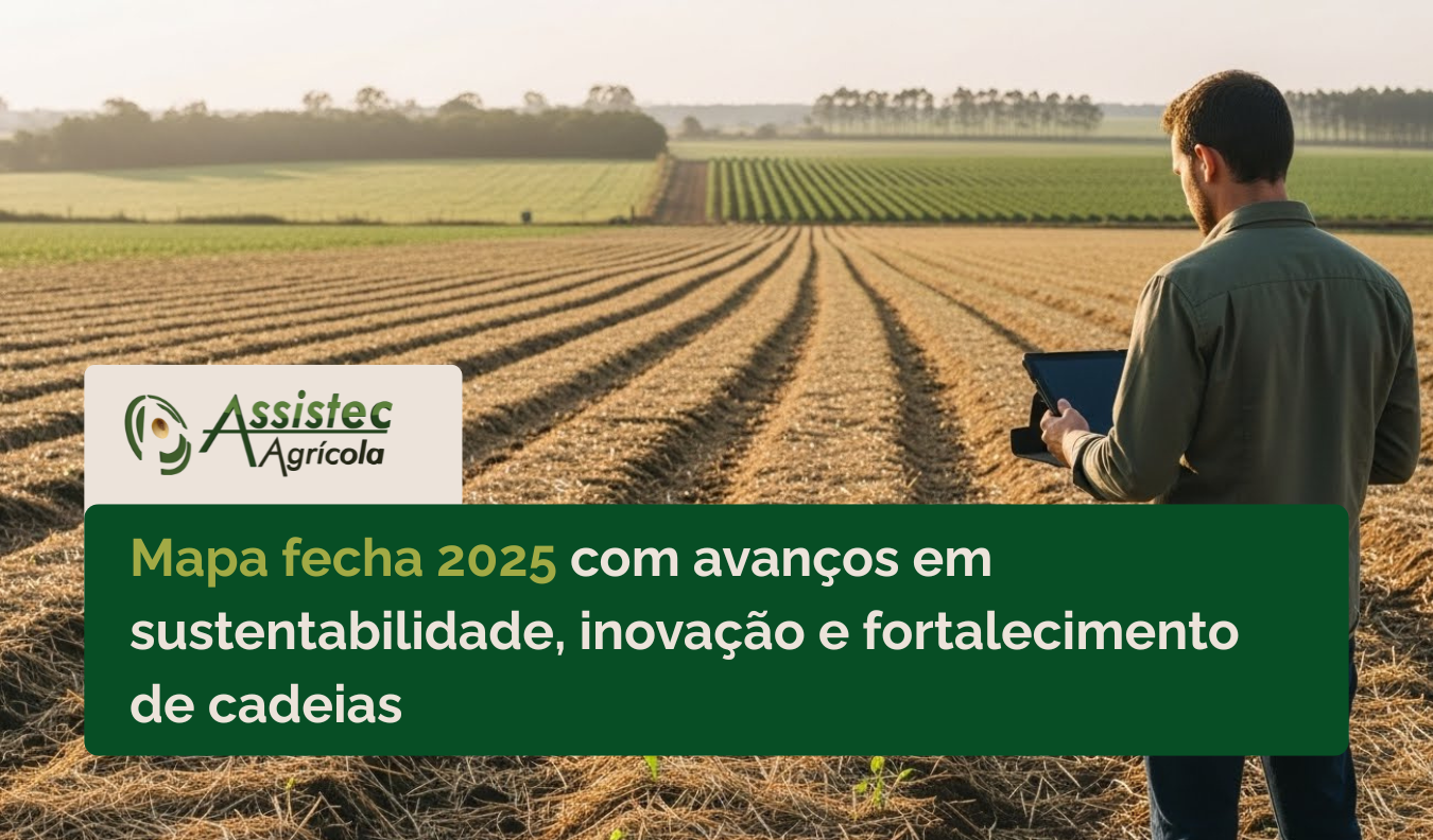 Mapa fecha 2025 com avanços em sustentabilidade, inovação e fortalecimento de cadeias: o que isso sinaliza para 2026