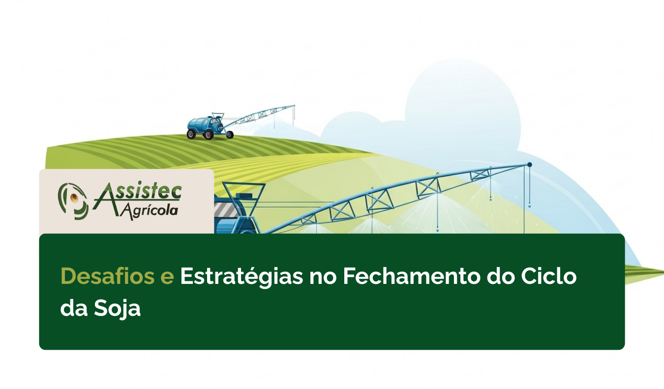Desafios do Fechamento da Soja em 2026