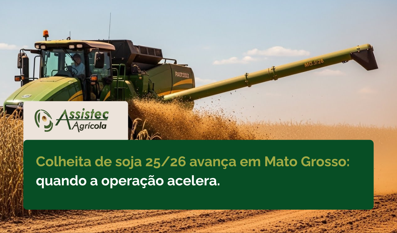 Colheita de soja 25/26 avança em Mato Grosso: quando a operação acelera, o detalhe define o lucro
