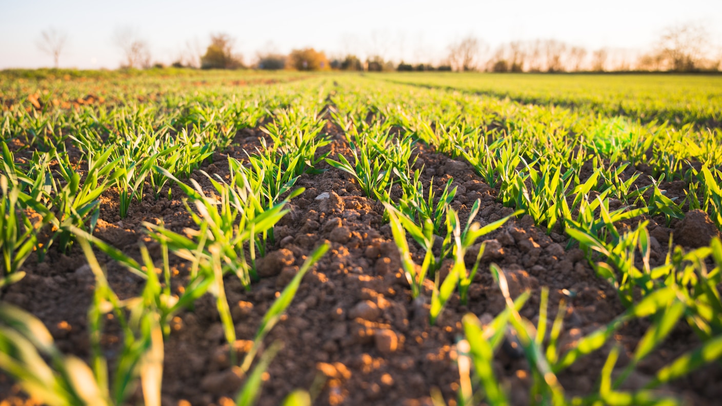 Agrishow 2026: R$ 11,4 Bilhões em Negócios e Tecnologia para a Agricultura Tropical